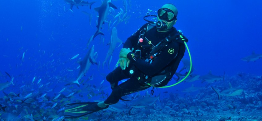 Top Dive Tahiti, French Polynesia Diving