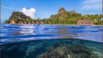 Raja4Divers, Pulau Pef - Raja Ampat Dive Resort